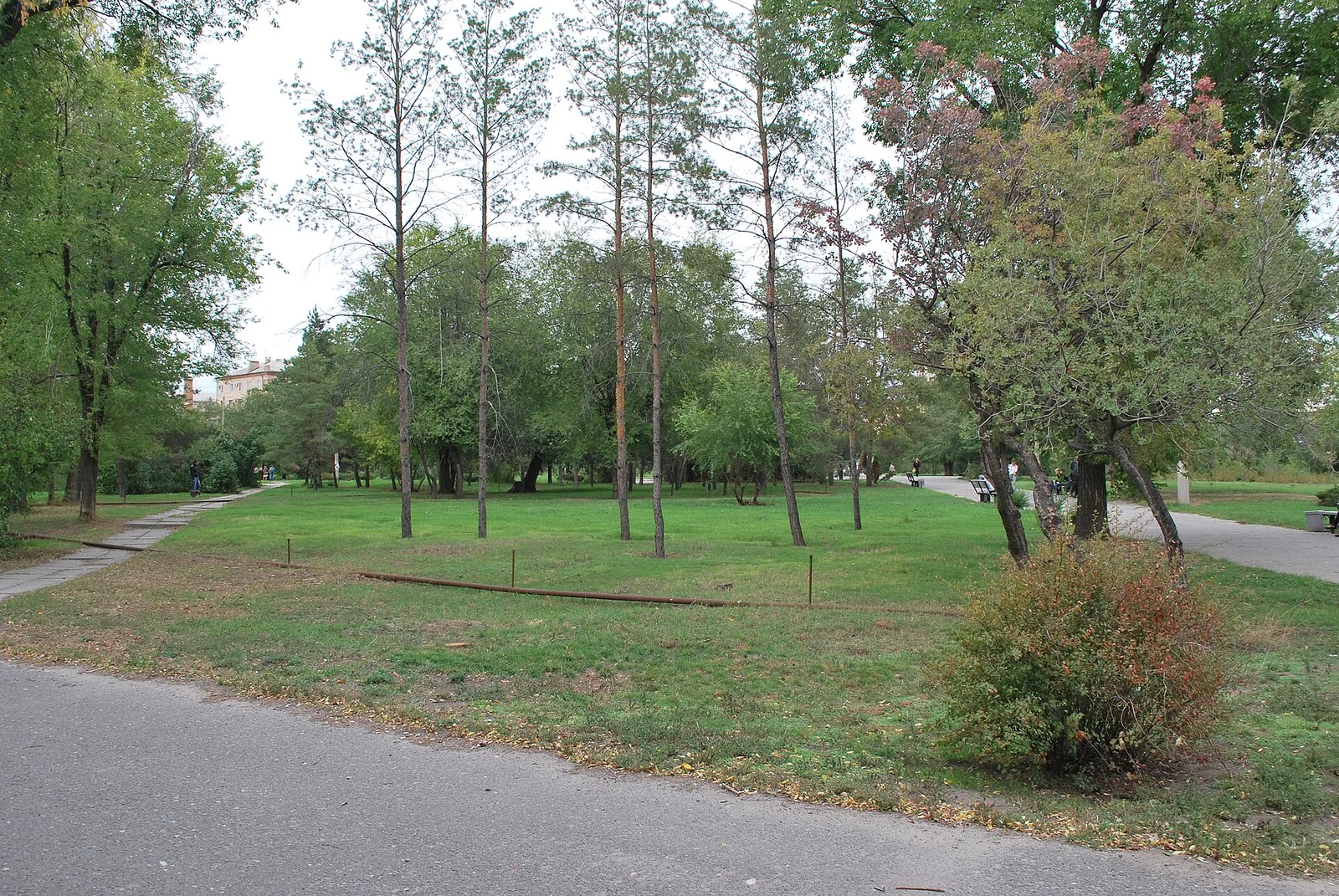 Park behind the Pavshih Bortsov Square. Volgograd 001